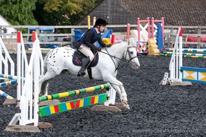 Class 3 -  Fences not above 2'3